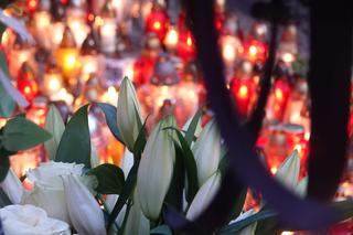 Uczczono pamięć Damiana Sobóla. Wolontariusz zginął w Strefie Gazy