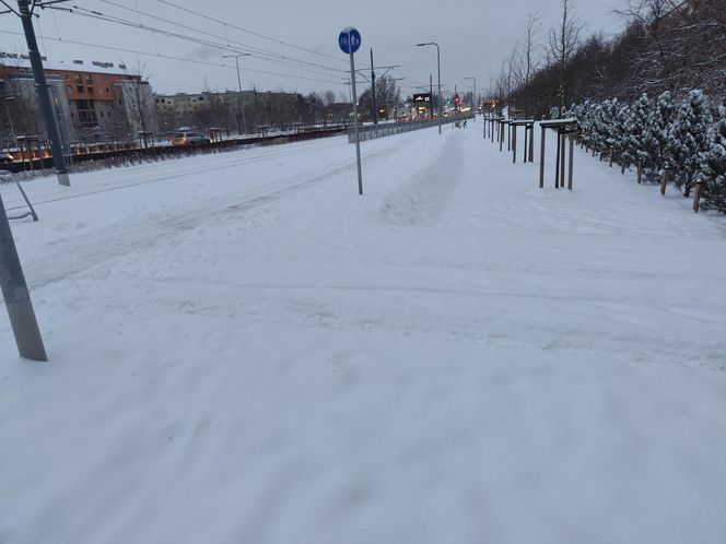 Śnieżna noc za nami. Czy zima zaskoczyła mieszkańców Poznania? 