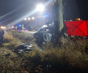 Śmiertelny wypadek pod Łęczycą. 21-latek uderzył w drzewo.