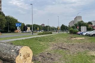 Protest mieszkańców przeciwko wycince drzew pod budowę linii tramwajowej do Mistrzejowic.