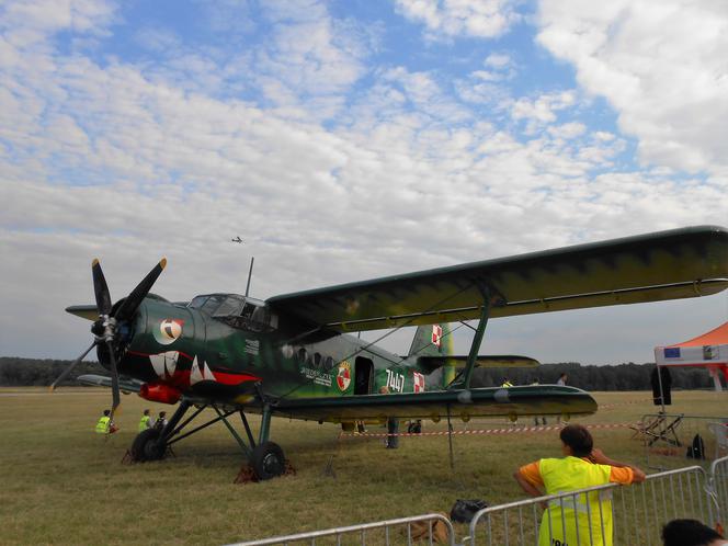 Katowice: Akrobacje lotnicze i widowiskowe pokazy pirotechniczne! Za nami pierwsza edycja Fajery