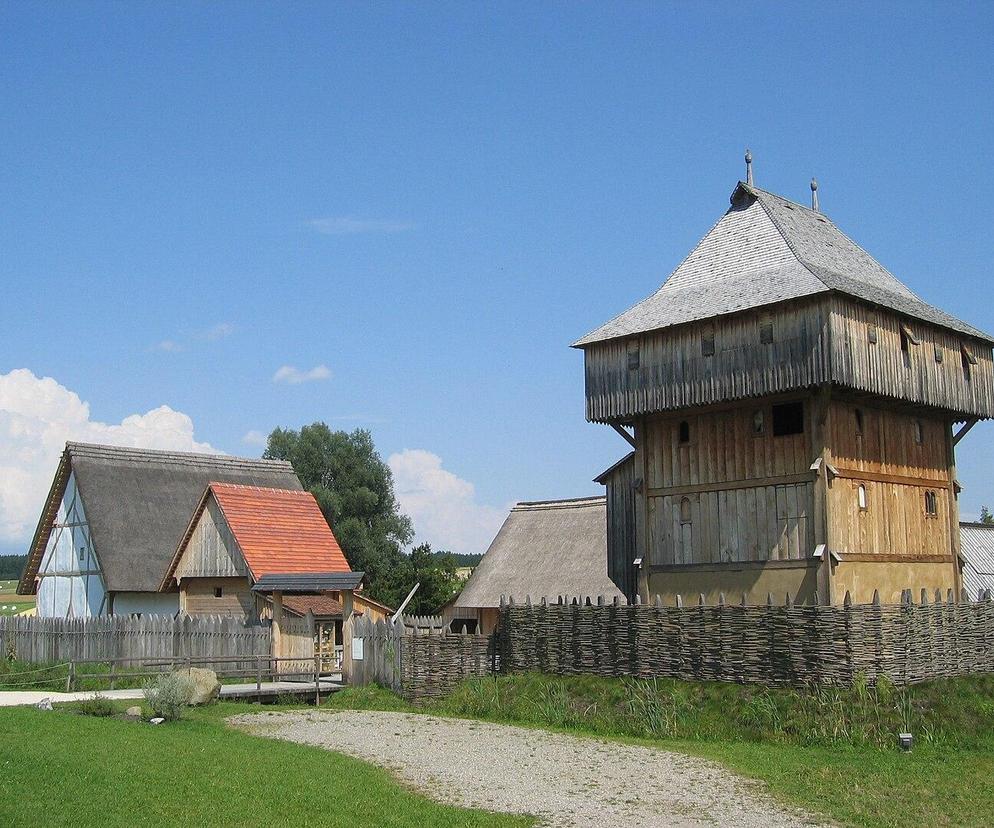 Podatki i daniny