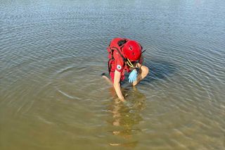 Makabryczne znalezisko nad Wisłą! Plażowicz wyłowił ludzką czaszkę