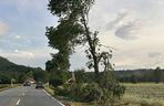 Dolnośląskie. Burze wyrządziły wiele szkód w regionie. Tak wyglądają okolice Jawora [ZDJĘCIA].