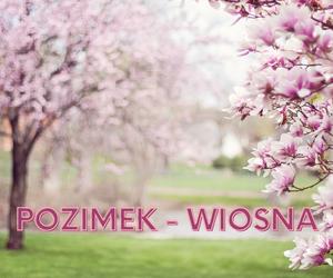 Zapomniane słowa w języku polskim! Znasz chociaż jedno?