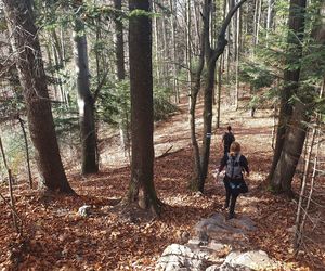 AI wybrała najlepsze miejsce na jesienny weekend w Małopolsce. Dla podróżników jest kultowe! 