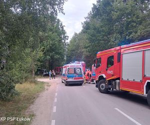 Bus rozbił się na drzewie. Wielu poszkodowanych, śmigłowiec LPR w akcji