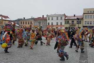 Gody Żywieckie plener