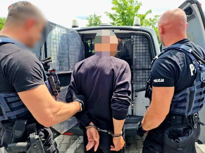 Zabił kobietę, wyprowadzał jej psa