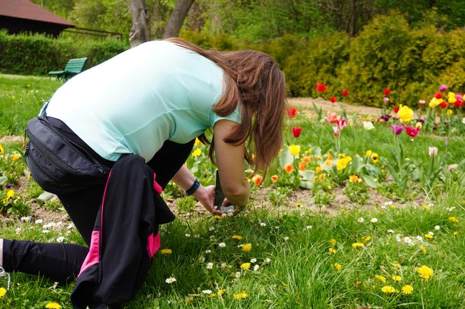 Ogród Botaniczny w Lublinie