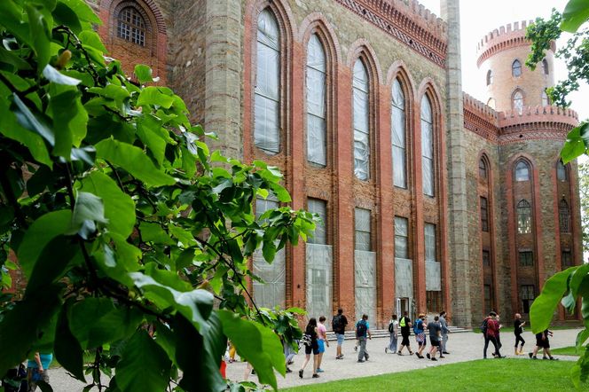 Ten bajkowy pałac to perła na skalę europejską. Znajduje się na Dolnym Śląsku!
