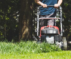 Sąsiad kosi trawę o każdej porze dnia i nocy? Oto, co możesz zrobić według prawa