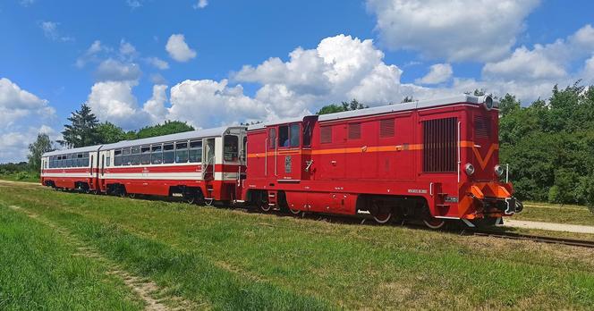 Ciuchcia Ponidzie atrakcją dla turystów w Świętokrzyskiem