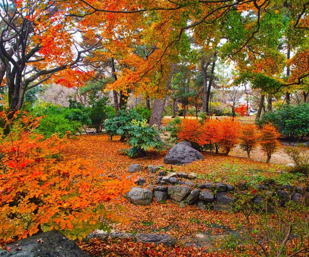 Polska złota jesień w parkach i ogrodach