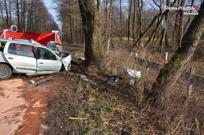  Makabra na Śląsku. 34-latek huknął w drzewo, z auta została miazga. Mężczyzna nie żyje