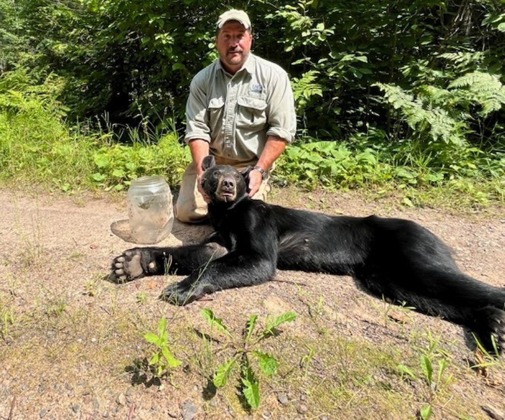  Niewiarygodne spotkanie z niedźwiedziem! Musisz to zobaczyć