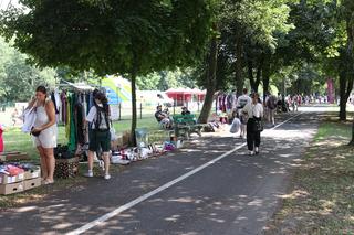 Miejska Garażówka w Katowicach ZDJĘCIA