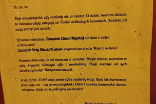 Zielone elfice uwolniły drzewo od betonu. „Jeśli to miał być żart, to arcysłaby”