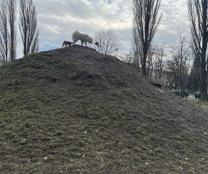 Psi park na ul. Żubardzkiej w Łodzi