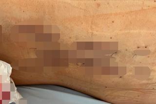 Znana influenserka dziękuję strażakom za uratowanie życia. Mia Tattoo została ciężko ranna w wypadku pod Zieloną Górą