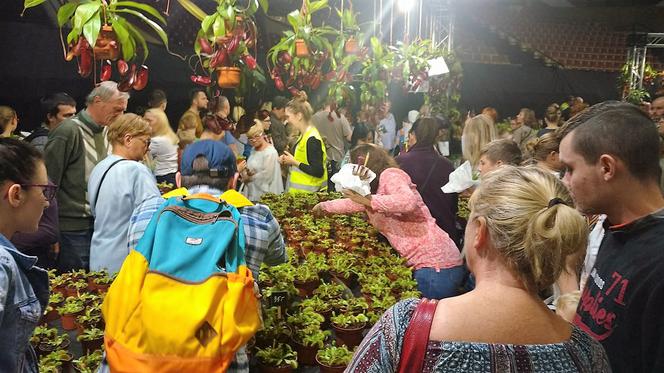 Krwiożercze rośliny opanowały katowicki Spodek! Trwa Festiwal Roślin Owadożernych [ZDJĘCIA, AUDIO]