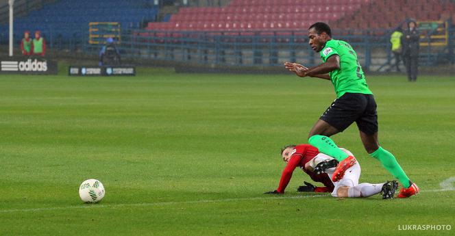 Wisła Kraków - Górnik Łęczna 3:2. Zobacz zdjęcia z niedzielnego meczu [GALERIA]