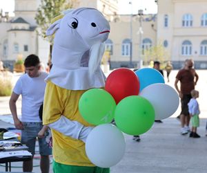 Animacje, najdłuższy autobus w kraju i inne atrakcje. Tak wyglądał Dzień bez Samochodu w Lublinie