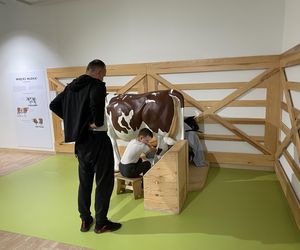 Słoneczny początek wakacji w Olsztynie! Eska Summer City w Kortosferze