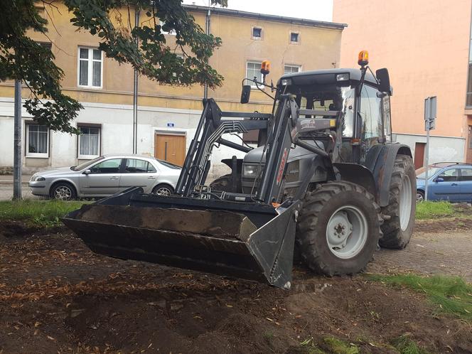 Bukszpany zrobiły miejsce na nowy pomnik w Lesznie. Poświęcony będzie żołnierzom generała Józefa Hallera