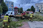 Powalone drzewa, zalania, wstrzymany ruch tramwajów: dramatyczny bilans orkanu nad Śląskiem