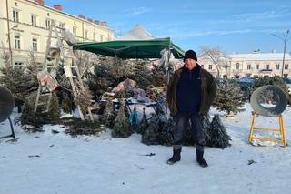 Choinek coraz mniej. Sprzedaż świątecznych drzewek w Kielcach stale rośnie