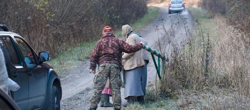 Rydze przegoniły żbika