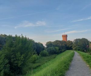 Przez to miasto Kujawsko-Pomorskiem nie da się przejść niezauważonym. Na turystów patrzy ponad 200 par kamiennych oczu. Wszędzie są twarze!