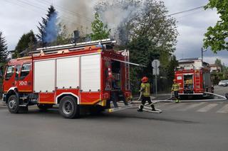 Tragedia w Puszczykowie. W zgliszczach znaleziono zwłoki