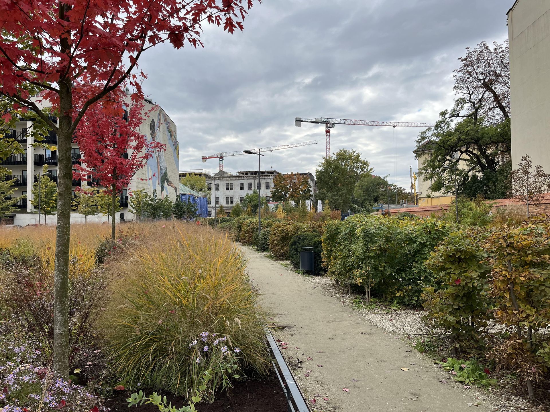 Park im. Wisławy Szymborskiej w Krakowie