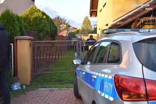 Służby zabrały psy i koty z domu w Rybniku. Były trzymane w bardzo złych warunkach