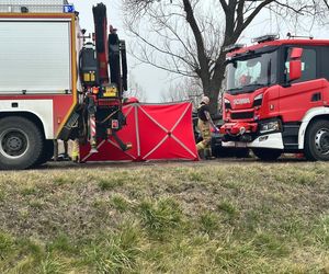 Poważny wypadek pod Warszawą. Malutki peugeot uderzył w drzewo. Nie żyją dwie osoby