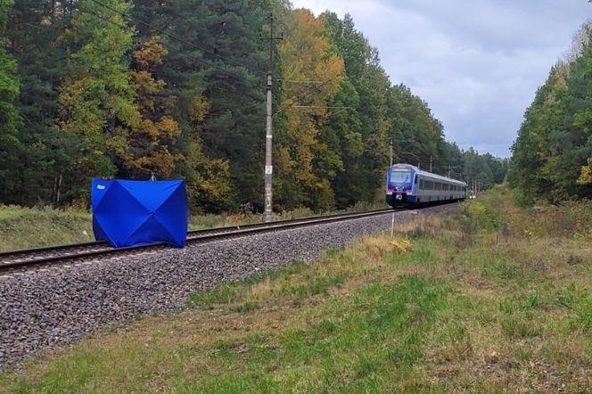 Tragedia na torach w Olsztynie. Wstrzymano ruch pociągów