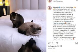 Hanna Lis odnalazła swoje koty