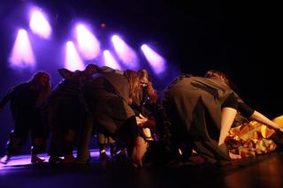 Kraków: Lew - Król Sawanny rzucił widzów na kolana