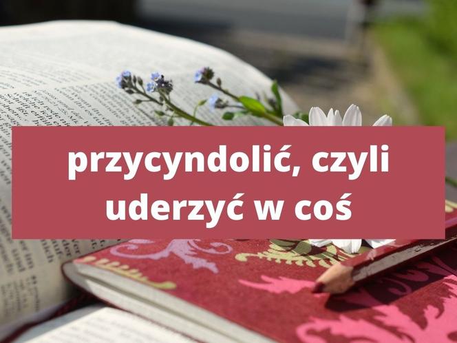 Te słowa tylko na Podkarpaciu! Znasz znaczenie tych słów? 