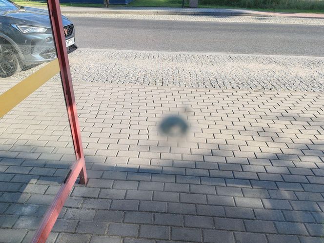 Strzały na przystanku w Dąbrowie Górniczej Antoniowie