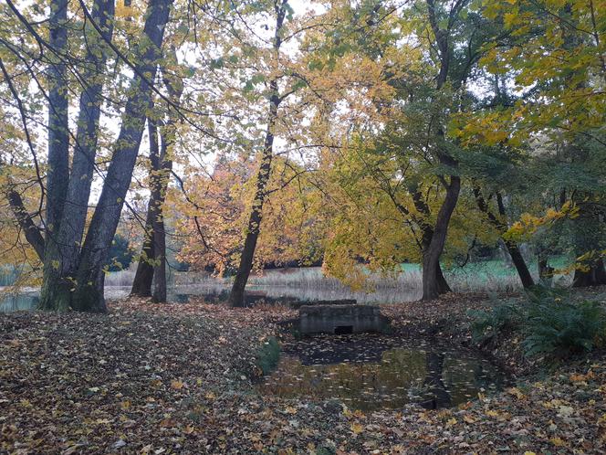 Jesienny spacer po parku zamkowym w Krasiczynie
