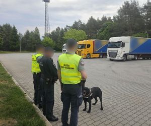 Gigantyczny przemyt kokainy