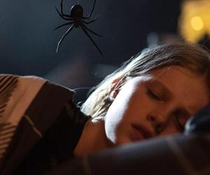Gigantyczny pająk atakuje! Horror tak straszny, że twoja arachnofobia dostanie arachnofobii