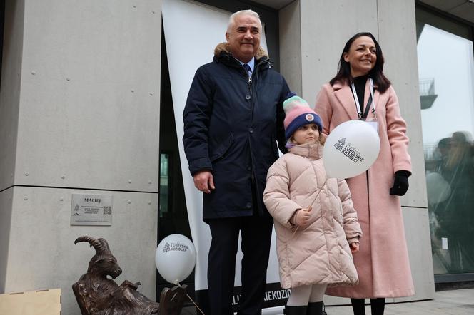 Odsłonięcie nowego koziołka w Lublinie. Oto Maciej!