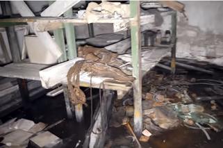 W czasach PRL-u handlował pyzami i rozwoził węgiel. W latach 90. uchodził za szefa Wołomina - jednej z największych i najlepiej zorganizowanych grup przestępczych w Polsce. Zarabiał głównie na przemycie alkoholu.