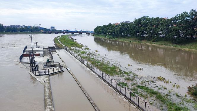 Fala powodziowa we Wrocławiu. Pod wodą są już beach bary i drogi 