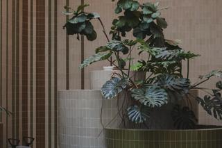 Mozaiki w Łodzi - zobacz zdjęcia najpiękniejszych z nich. Gdzie je znaleźć?