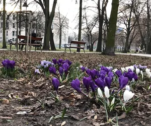 Czuć wiosnę w parku Leśniczówka!